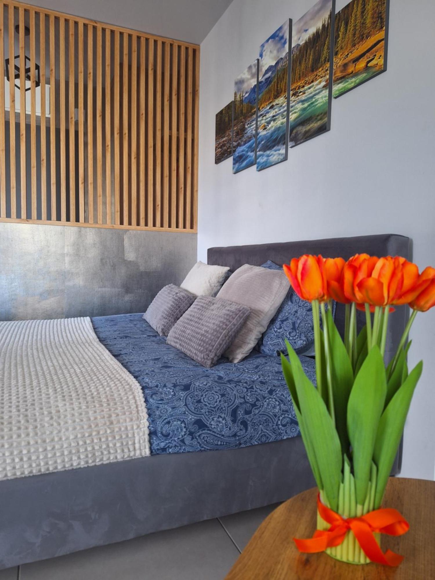 Apartament Gorska Szarotka Новы-Тарг Экстерьер фото